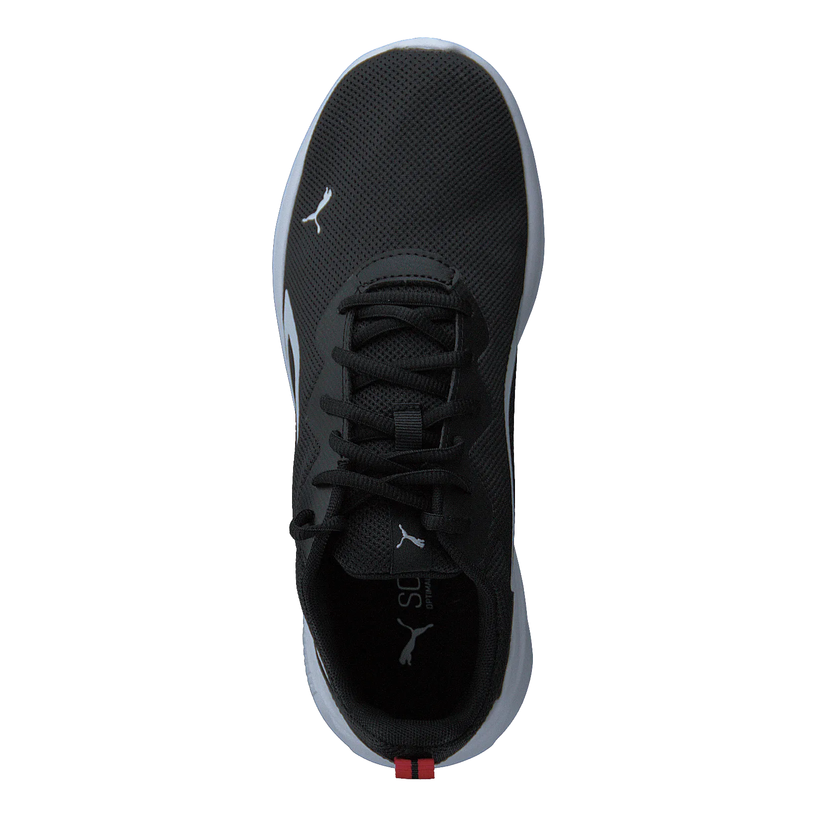 All-day Active Puma Black-puma White